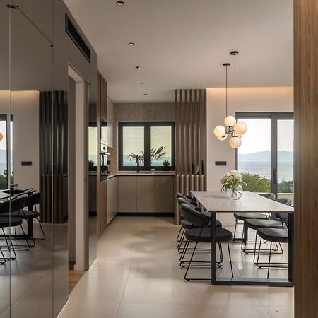 Villa Ameli Apartment With Swimming Pool 里耶卡 外观 照片