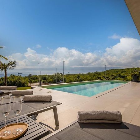 Villa Ameli Apartment With Swimming Pool 里耶卡 外观 照片