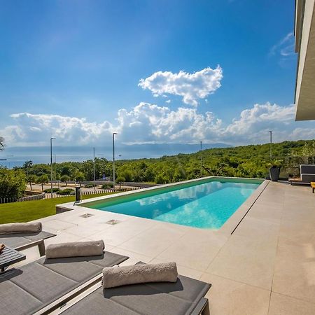 Villa Ameli Apartment With Swimming Pool 里耶卡 外观 照片