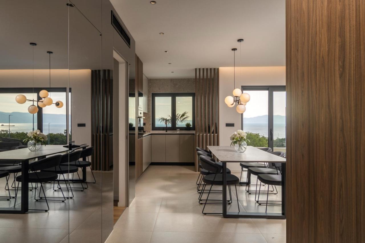 Villa Ameli Apartment With Swimming Pool 里耶卡 外观 照片