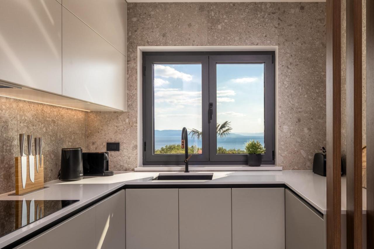 Villa Ameli Apartment With Swimming Pool 里耶卡 外观 照片