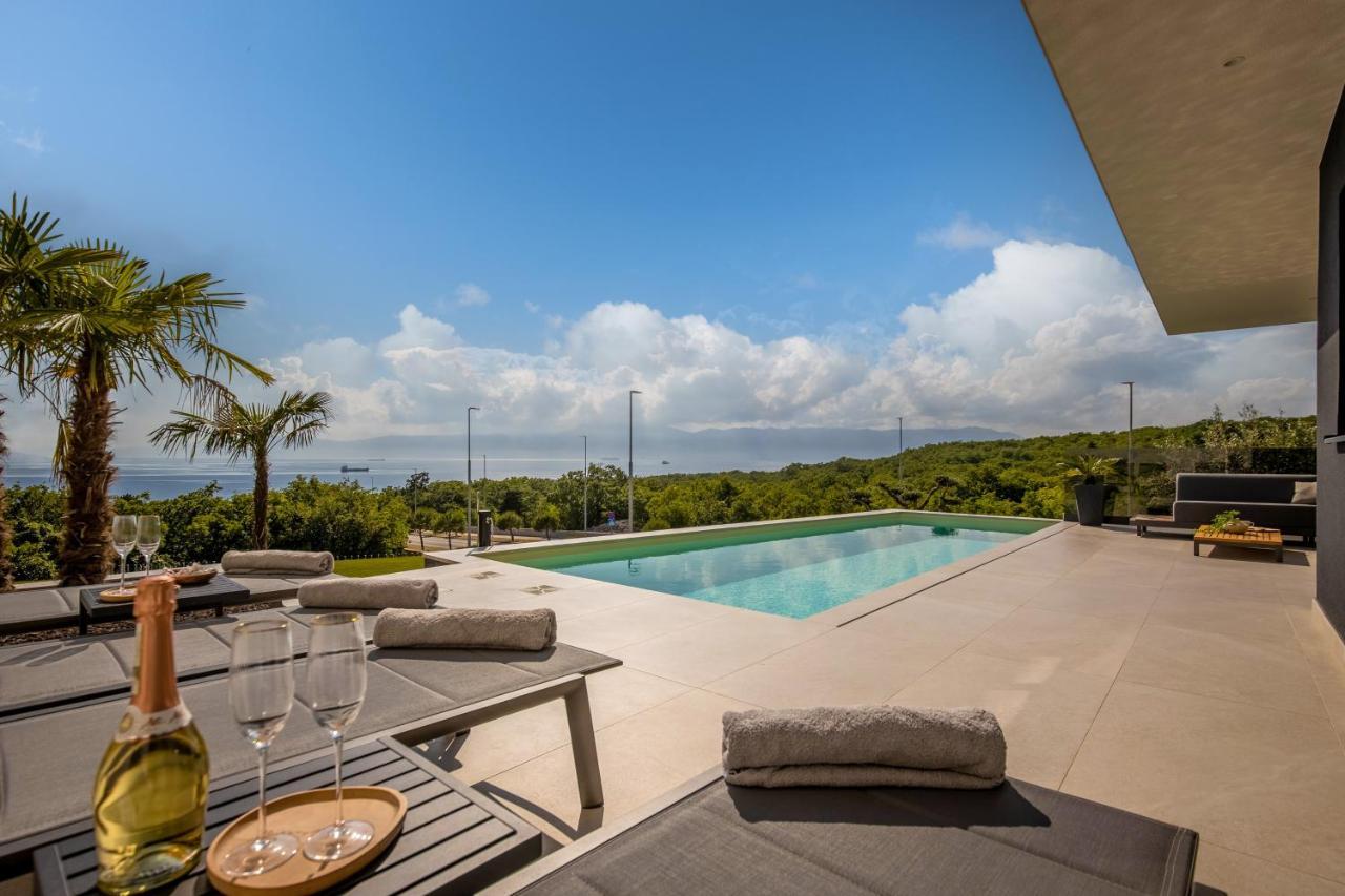 Villa Ameli Apartment With Swimming Pool 里耶卡 外观 照片